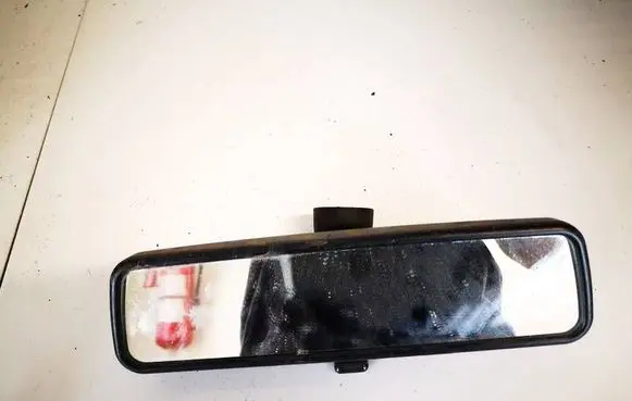 Skoda Roomster (5J) Rear view mirror (interior) e9014022