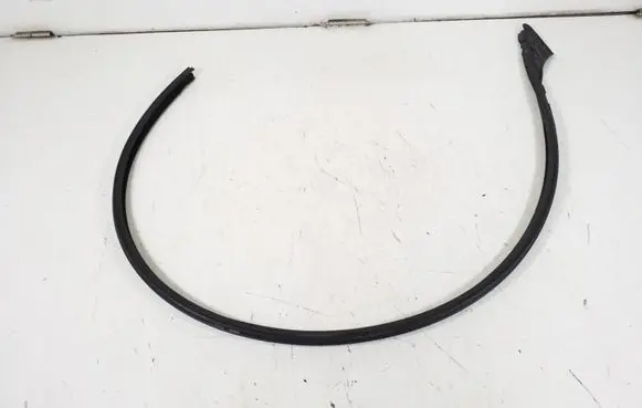 Mercedes-Benz CL C216 Front door rubber seal A2167200578