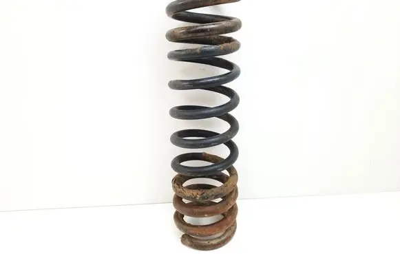 Ford Focus Rear coil spring