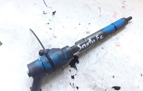 Hyundai Santa Fe Fuel injector 0445110254