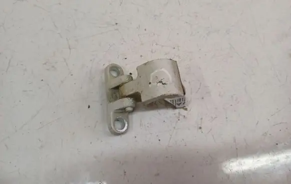 Skoda Roomster (5J) Rear door lower hinge