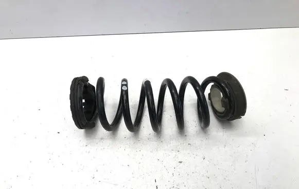 Rear coil spring
