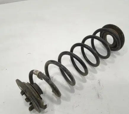 Rear coil spring