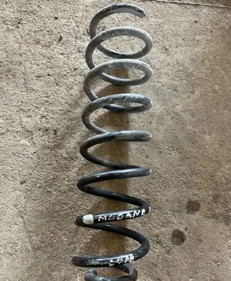 Rear coil spring