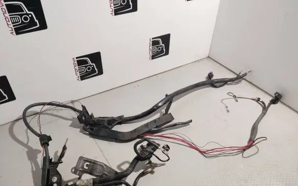 Engine installation wiring loom