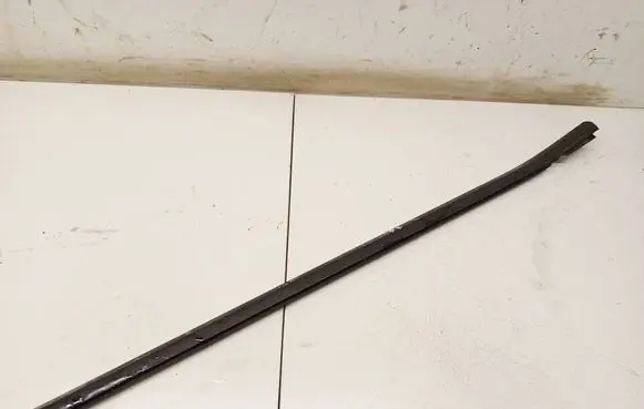 Ford Focus Front door glass trim molding 