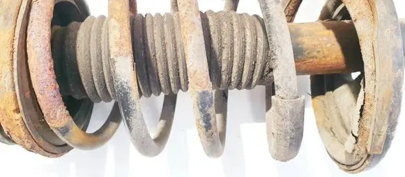 Chevrolet Epica Front coil spring