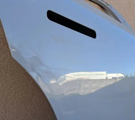 Jaguar I-Pace Rear door