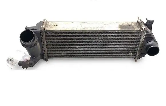Mercedes-Benz Citan W415 Intercooler radiator 144963234R