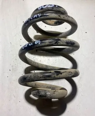 Rear coil spring