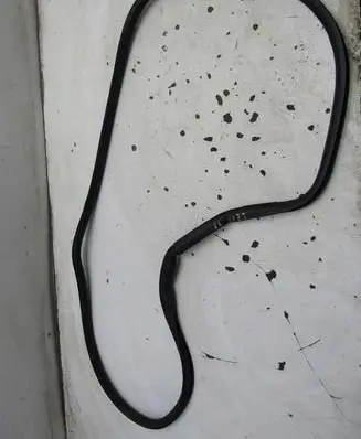 Seat Leon (5F) Front door rubber seal GMAUTO4574097