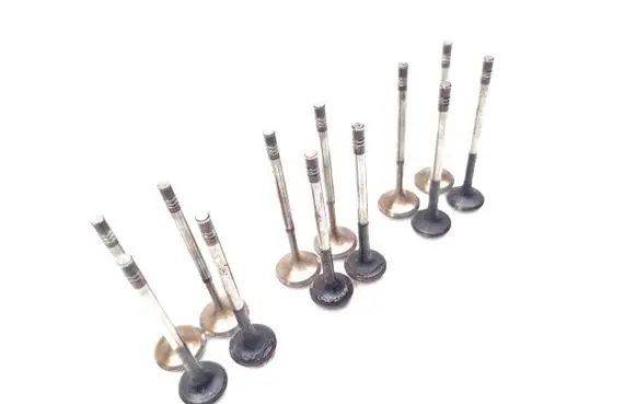 Skoda Fabia Mk2 (5J) Valve 12PCS