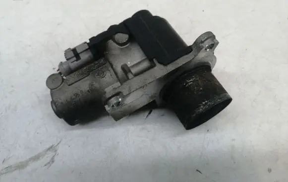 Volkswagen Polo IV 9N3 EGR valve 03G131502