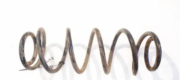 Rear coil spring