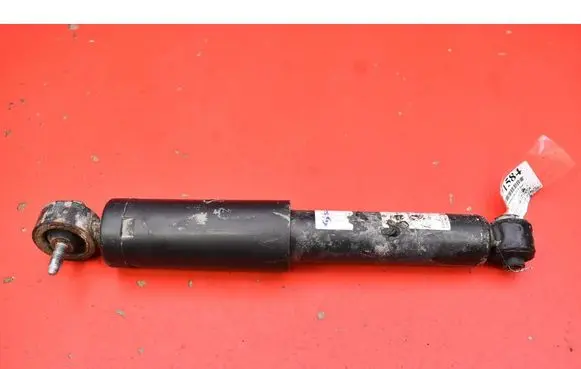 Ford Ka Rear shock absorber/damper 317969