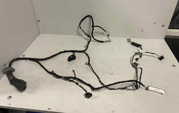 BMW 3 F30 F35 F31 Front door wiring loom 9286217 7277448 9219490