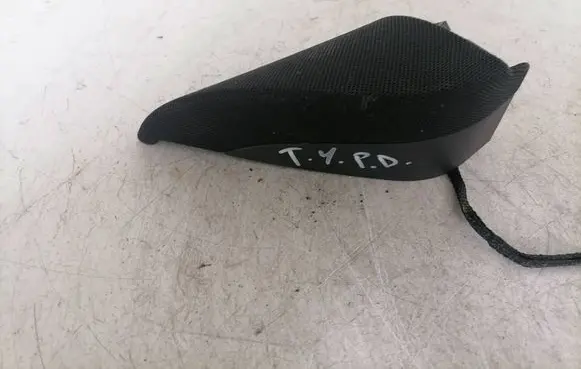 Tesla Model Y Front door speaker 166146900B GDC1404367 DCC243090781