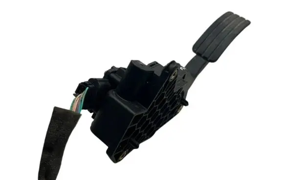 Renault Laguna III Accelerator throttle pedal 028755085