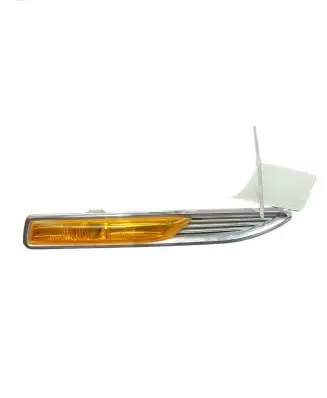 Front fender indicator light