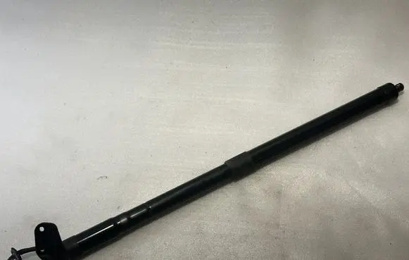 Tailgate/trunk strut/damper
