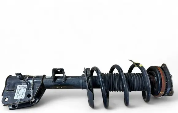 Chrysler Pacifica Front shock absorber with coil spring P68294077AE 824904013543 010000