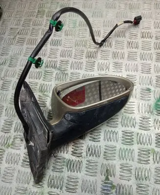 Volkswagen PASSAT B5.5 Front door electric wing mirror E1010836