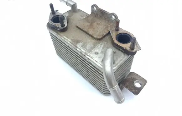 Mitsubishi Pajero EGR valve cooler
