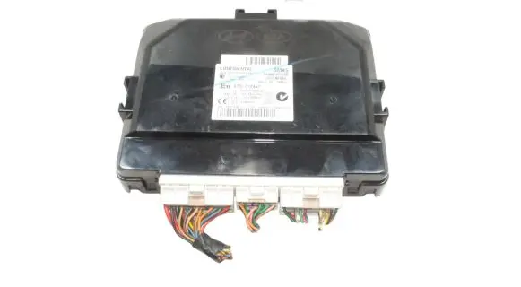 Hyundai Santa Fe Keyless (KESSY) go control unit/module 954802W550 5WY8F06A