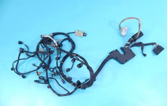 Land Rover Range Rover Sport L320 Engine installation wiring loom 9H2Q-9H589 IMPRK1189318
