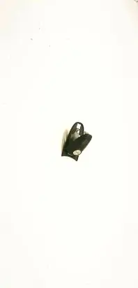 Volkswagen Crafter Loading door cover/cap A9067600005