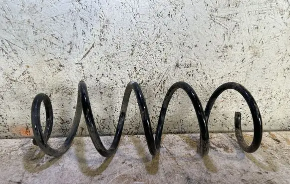 Rear coil spring