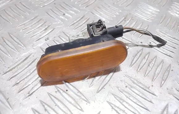 Front fender indicator light
