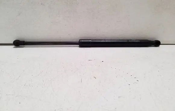 Front bonnet/hood damper/strut