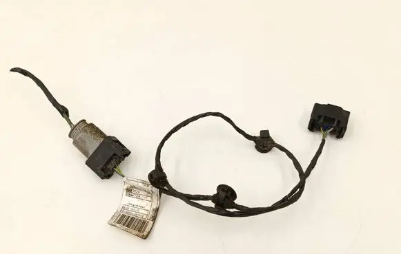 Other wiring loom