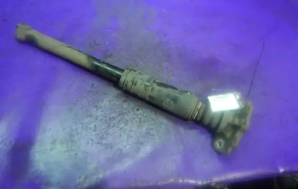 Fiat Punto (199) Rear shock absorber/damper