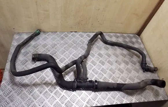 Dacia Sandero Engine coolant pipe/hose 215017250R