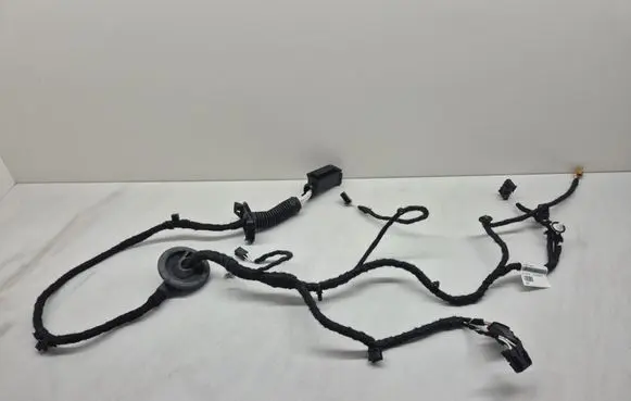 Volkswagen Golf VIII Rear door wiring loom 5H9971693L