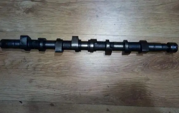 Renault Scenic I Camshaft FW555