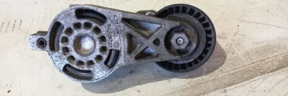 Skoda Octavia Mk2 (1Z) Generator/alternator belt tensioner 03G903315