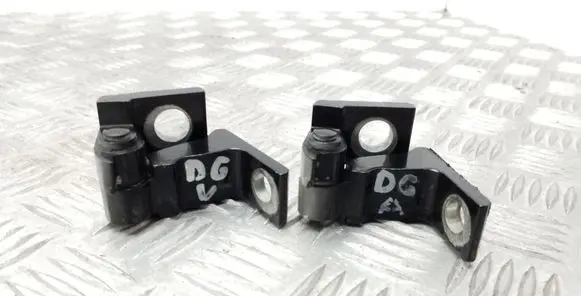 Rear door hinge set