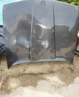 Engine bonnet/hood