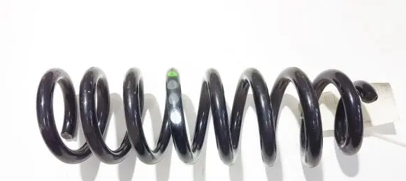 Rear coil spring