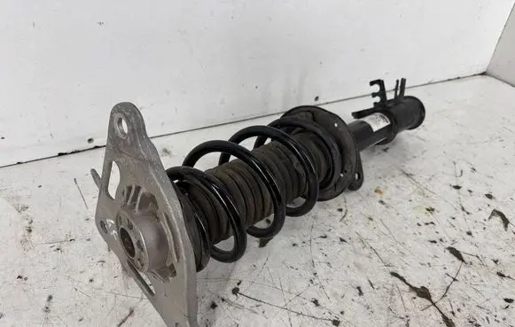 Dodge Hornet Rear shock absorber with coil spring 00505745280 00505744100 00505747640