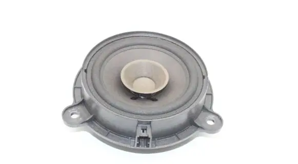 Renault Zoe Rear door speaker