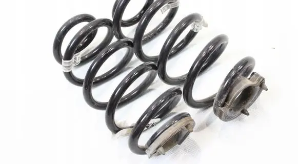 Rear coil spring
