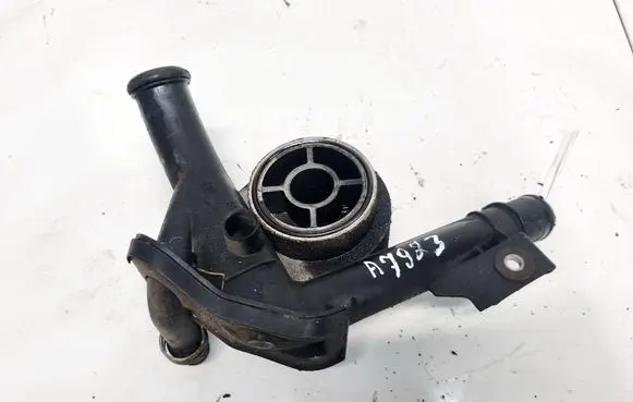 Renault Scenic II - Grand scenic II Engine coolant pipe/hose 8200552604