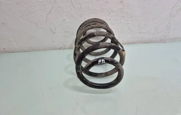 Dodge Grand Caravan Front coil spring 