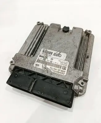 Hyundai Santa Fe Engine control unit/module 391002F060 1039S50508