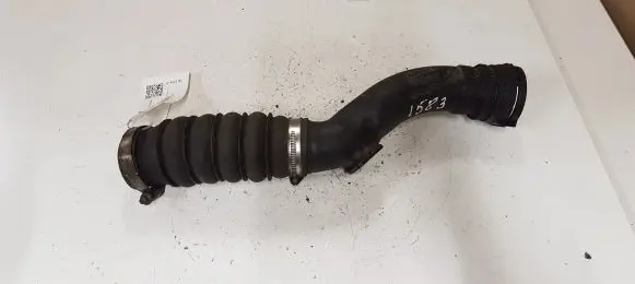 Renault Clio III Intercooler hose/pipe 8200794203