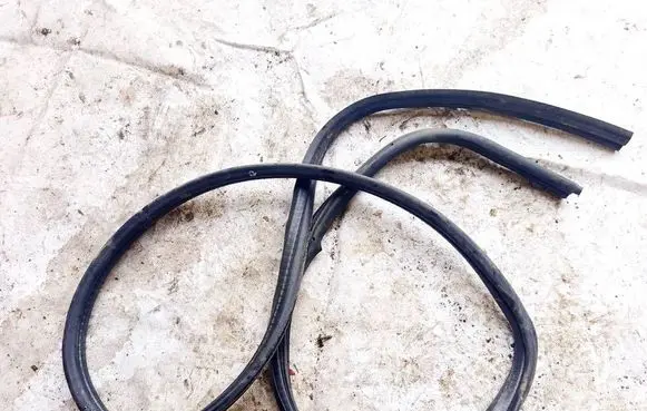 Renault Megane I Rubber seal front coupe door